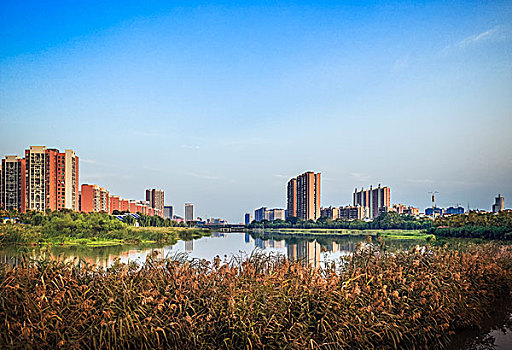 湿地公园旁的建筑群居住区很壮观