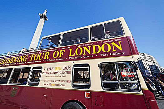 英格兰,伦敦,特拉法尔加广场,旅游巴士,柱子