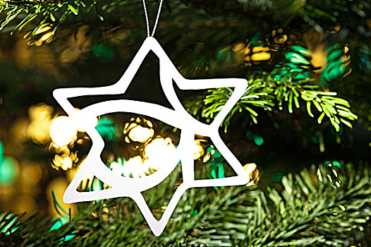 星形,圣诞饰品,圣诞树