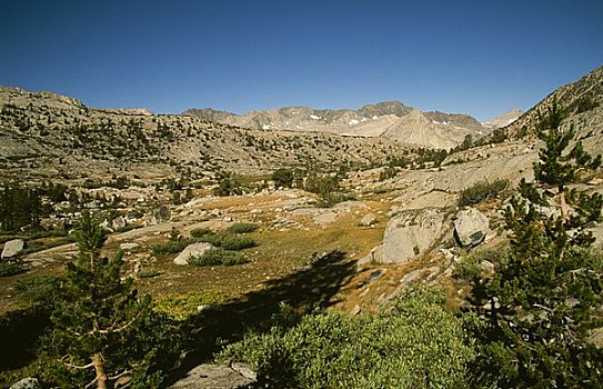 石头,风景,国王峡谷,国家公园,加利福尼亚,美国