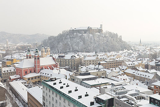 俯视,全景,卢布尔雅那,雪中,斯洛文尼亚,欧洲