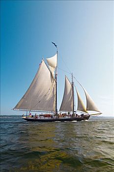 纵帆船,航行,佩诺布斯科特湾,缅因,美国