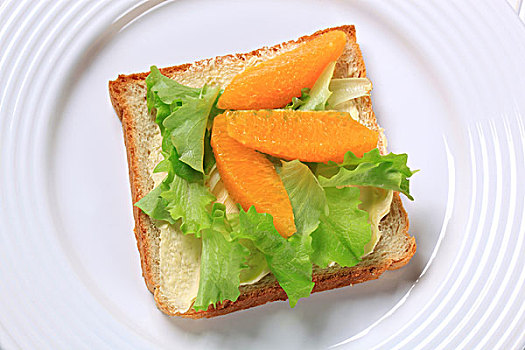 素食主义,三明治