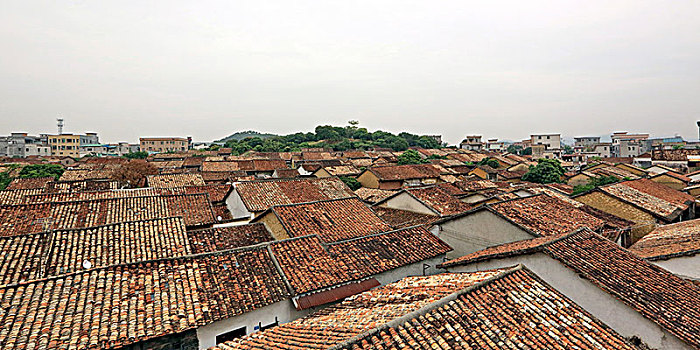 大朗镇松木山风景