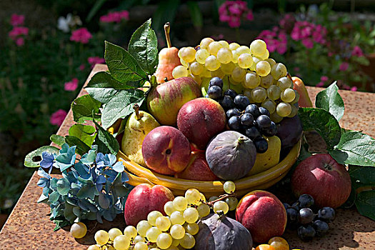 季节,静物,种类,秋天,水果,黄色,碗,蓝色,绣球花,生锈,花园桌