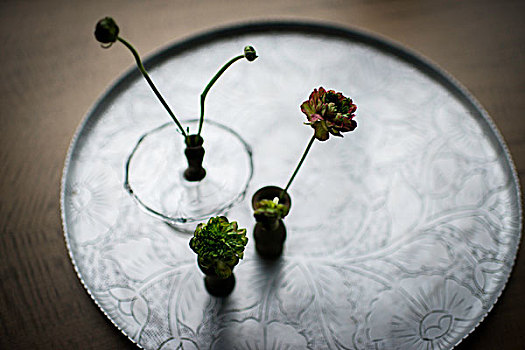 静物,小,花瓶,插花,银色托盘
