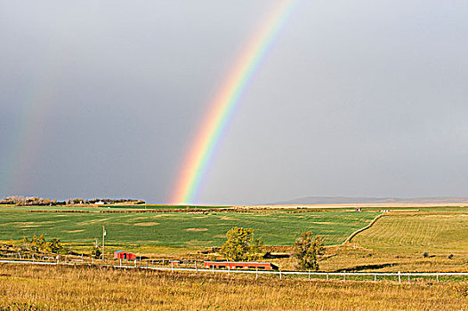彩虹,上方,大牧场,艾伯塔省,加拿大
