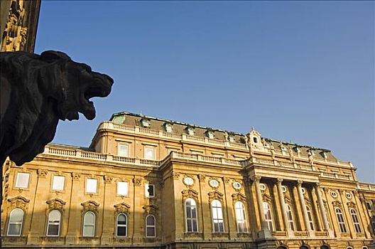 匈牙利,国家美术馆,狮子,雕塑