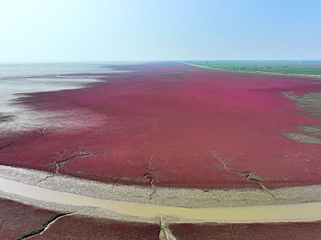 红海滩