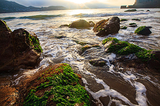 海浪,礁石,水草,绿色,石头