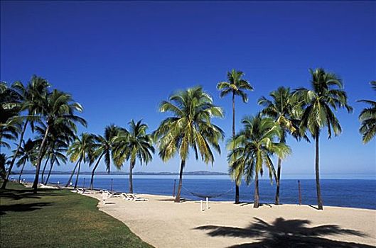 斐济,珊瑚海岸,漂亮,海滩,棕榈树,蓝色,海洋,天空