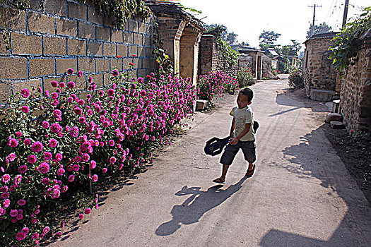 村庄街道上玩滑板的孩子