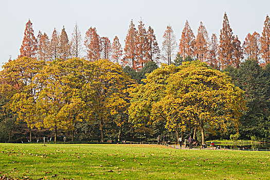 杭州太子湾公园