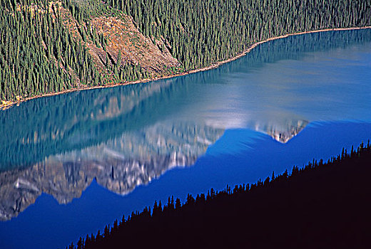 围绕,顶峰,反射,佩多湖,班芙国家公园,艾伯塔省,加拿大
