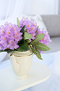 紫色,杜鹃花属植物,花,白色,旧式,咖啡壶