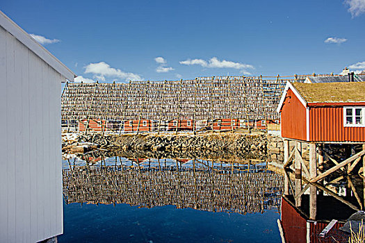 传统,渔业,罗弗敦群岛,挪威