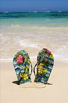 一对,夏威夷,风格,人字拖鞋,困住,沙子,青绿色,海洋,背景