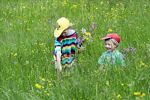 两个,小男孩,兄弟,6岁,8岁,玩,花,草地,聚会