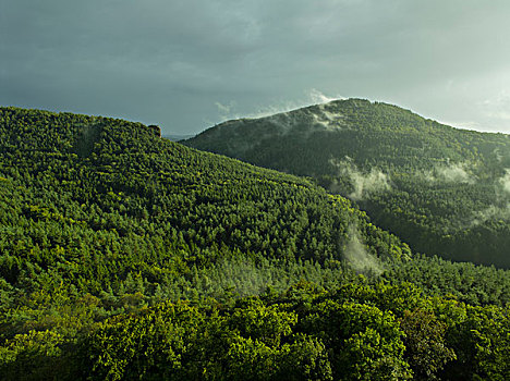 风景,城堡遗迹,德哈亨费茨,林地,普拉蒂纳特,树林,莱茵兰普法尔茨州,德国