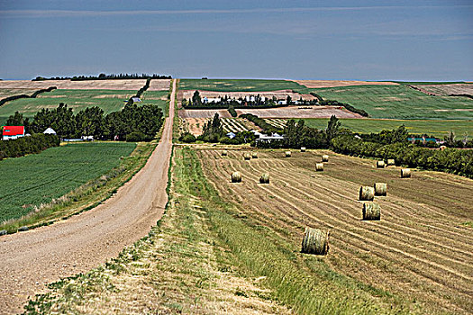 农田,小路,靠近,萨斯喀彻温,加拿大
