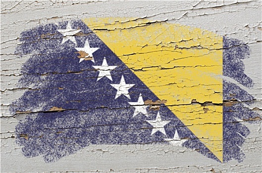 旗帜,波斯尼亚,黑塞哥维那,低劣,木质,纹理,涂绘