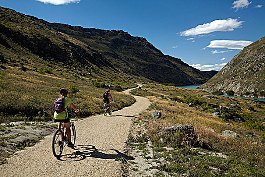 山地车手,峡谷,自行车,走,中心,奥塔哥,南岛,新西兰