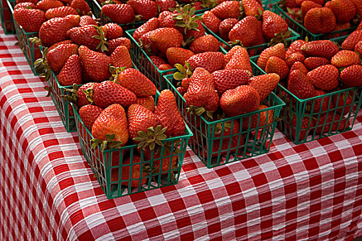 草莓,板条箱