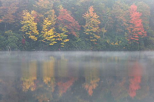美国,西维吉尼亚,州立公园,秋天,反射,模糊,湖,画廊