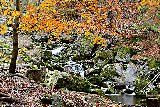瀑布,石头,溪流,风景,秋天