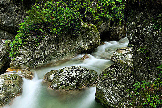 河流,峡谷,上陶恩山国家公园,奥地利