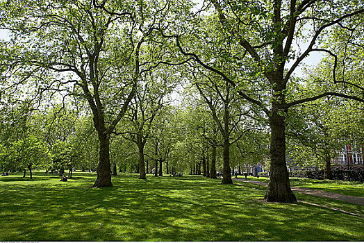 绿色公园,伦敦,英格兰