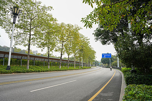 寒冷冬天羊城广州黄埔区宽阔的马路两侧绿化