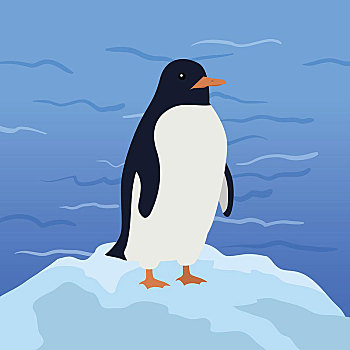 有趣,企鹅,插画,帝企鹅,背景,北极,冰河,蓝色,白色,腹部,动物,可爱,矢量,野生动物