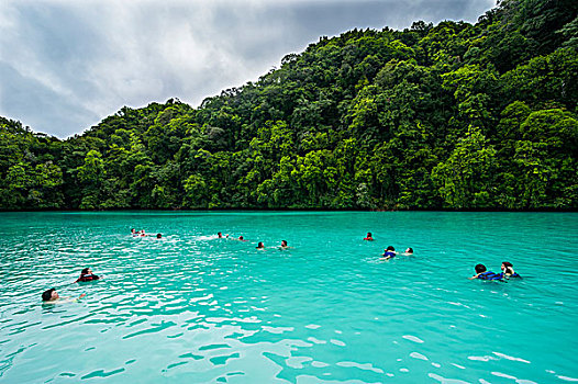 人,游泳,青绿色,水,洛克群岛,帕劳,中心,太平洋