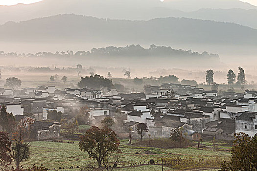 风景,自然