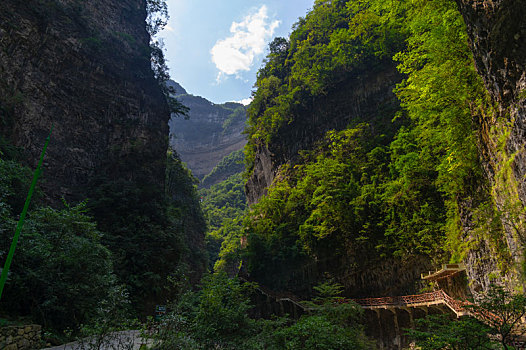 湖北宜昌三峡竹海夏日风光