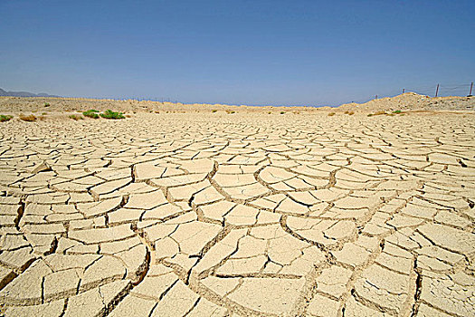 干燥,沙漠,红海,区域,西奈,埃及