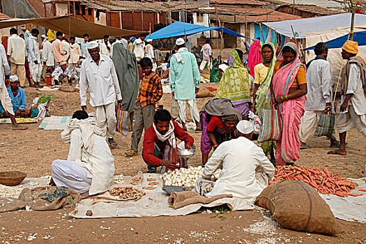 种类,食物,洋葱,胡萝卜,姜,售出,市集,人群,购物,家,马哈拉施特拉邦,印度,一月,2007年