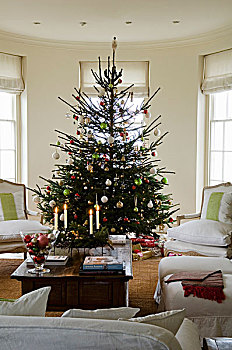 装饰,圣诞树,扶手椅,白色,家居装潢,传统,室内