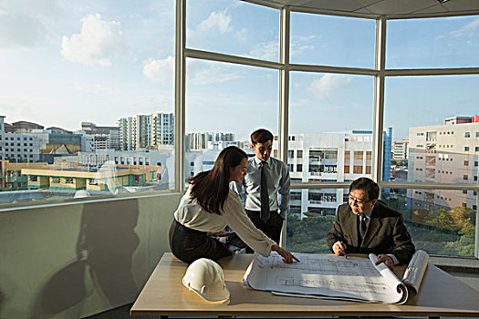 新加坡,三个人,讨论,建筑设计,办公室