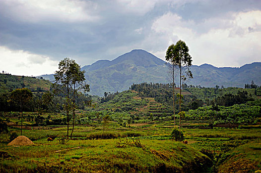 卢旺达,农业,土地