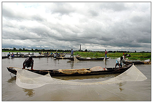 渔民,收集,蛋,海水,鱼,河,盐,可爱,水,孟加拉,五月,2007年