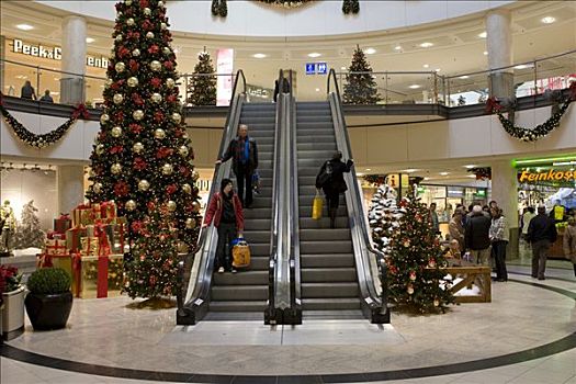 顾客,圣诞购物,商场,黑森州,德国