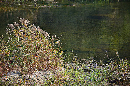 山间河流