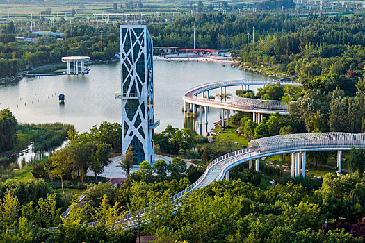 河南滑县白马湖,处理污水,森林消防,净化水生态