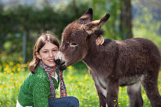 女孩,11岁,驴,小马,果园,巴伐利亚,德国,欧洲