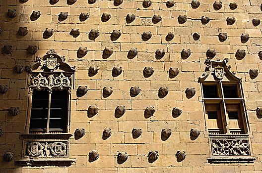 贝壳之家,房子,壳,15世纪,萨拉曼卡,卡斯蒂利亚莱昂,西班牙,欧洲