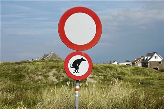 签到,沙丘,狗,荷兰南部,荷兰