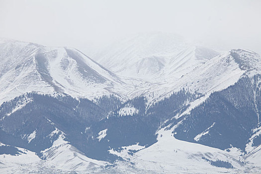 新疆巴里坤,冬日天山,水墨丹青