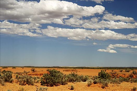 荒芜,灌木丛,干燥,红土,天空,氛围,云,澳洲南部